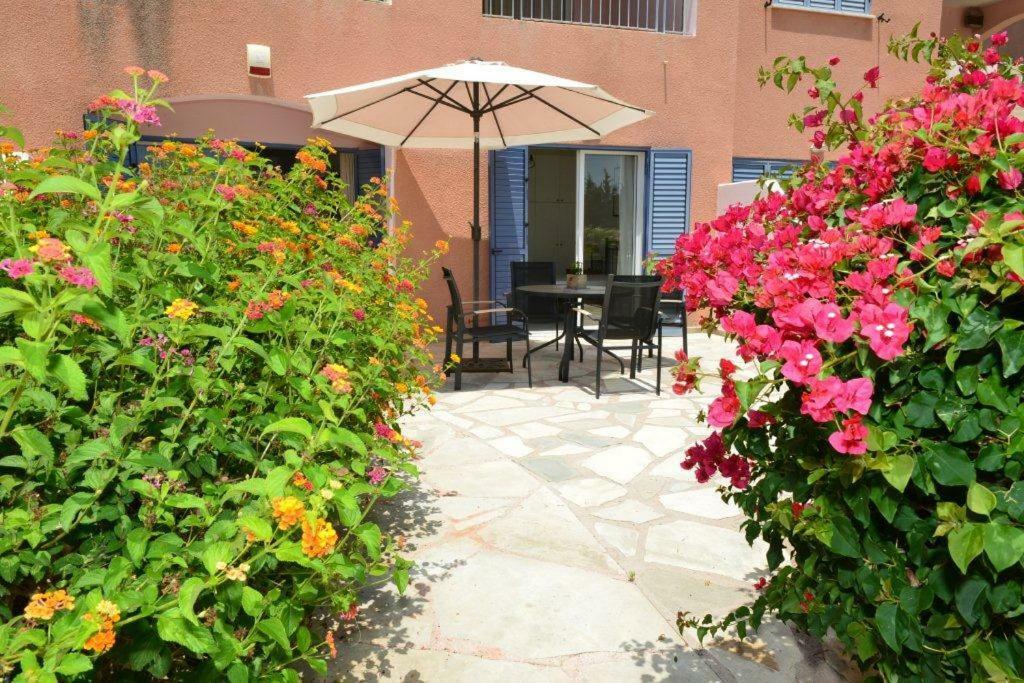 Limnaria Villas Sunny Garden Apartment Пафос Екстер'єр фото